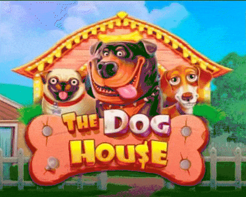 Play The Dog House in Reefspins Casino